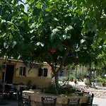 Soldatos