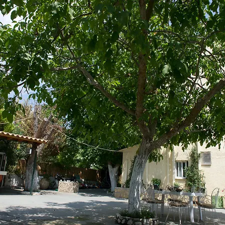 Soldatos